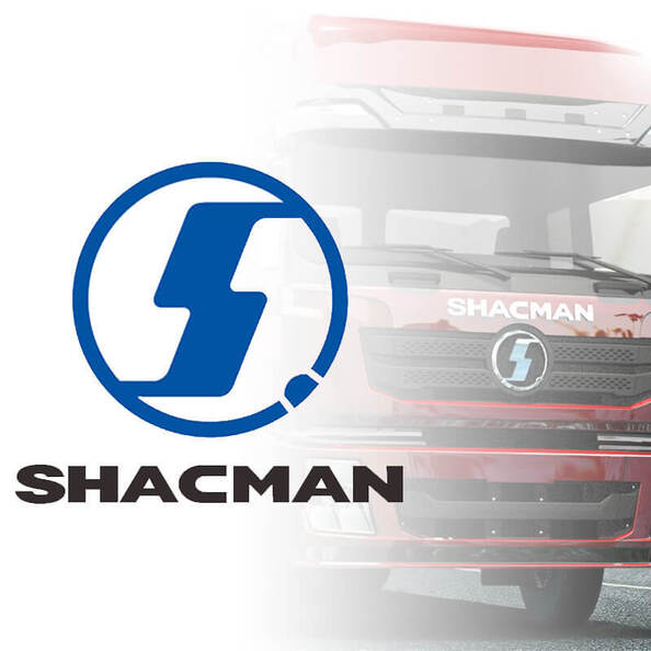 Pièces de camion de Shacman